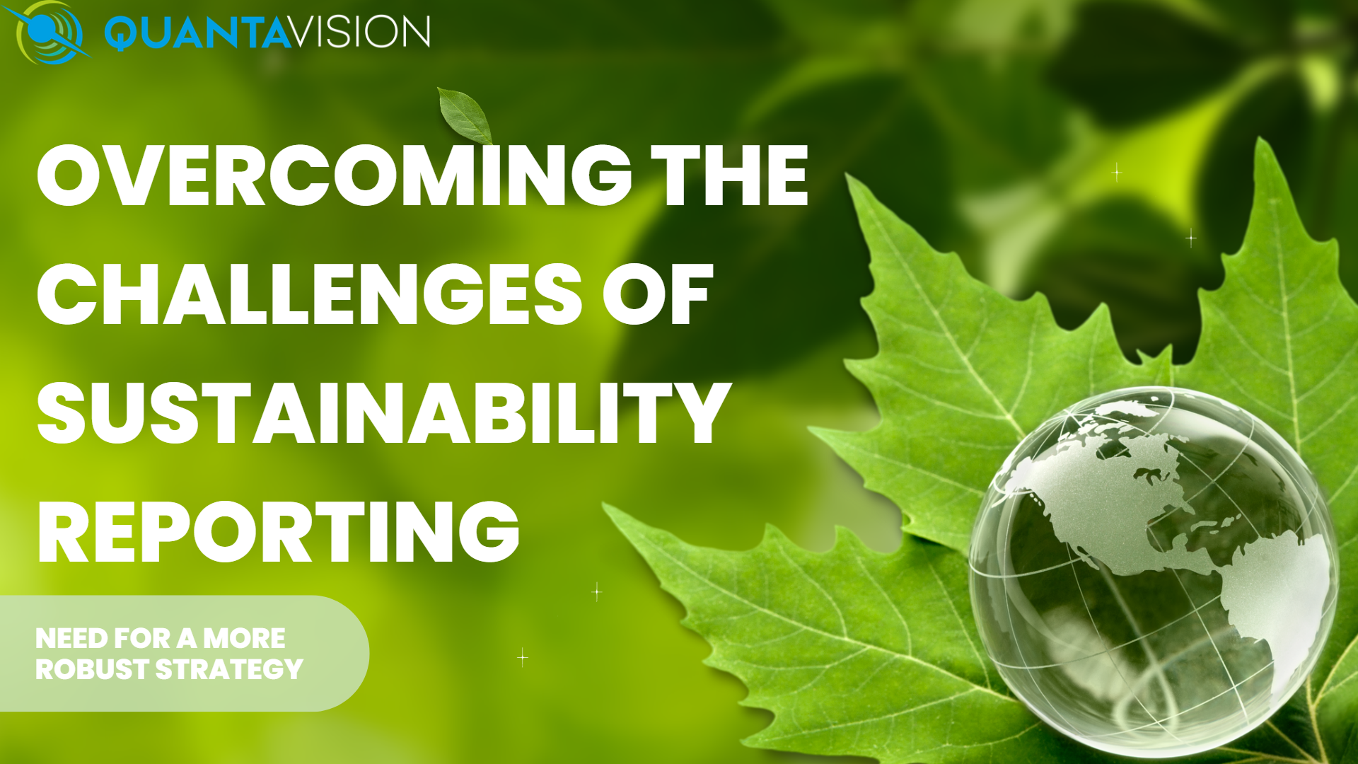 Tackling Sustainability Reporting