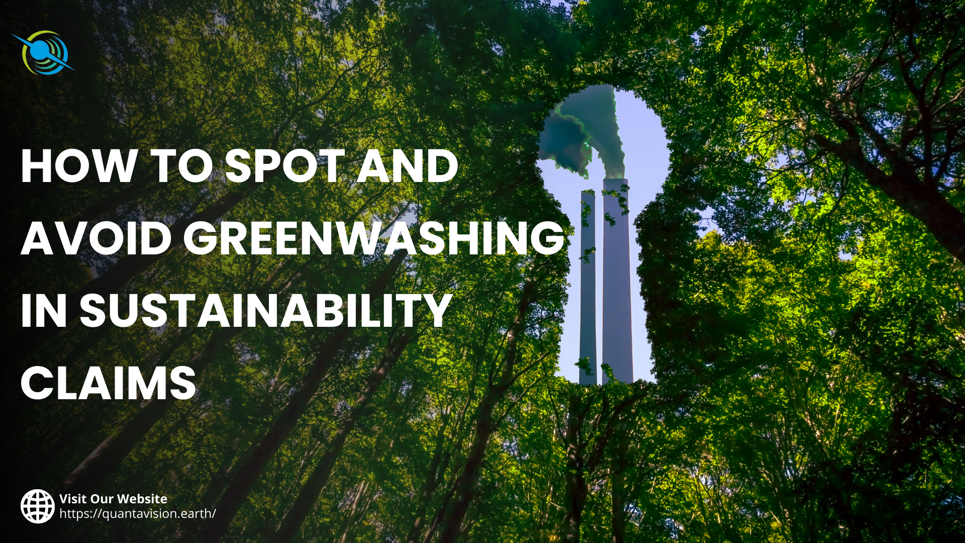 Avoiding Greenwashing in Sustainability