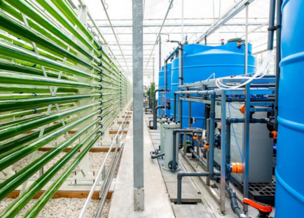 Elevating Innovation — Bringing Italian Biotech to U.S. Soil
